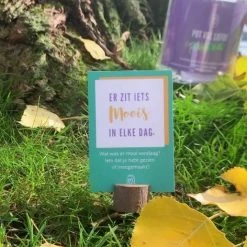 Suzanne Nakhla Pot Vol Liefde Voor Kids 8 Suzanne Nakhla Pot Vol Liefde Voor Kids -kaartspellen Verkoopwinkel 472x840 7