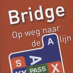 Ton Schipperheijn Bridge Op Weg Naar De A-lijn