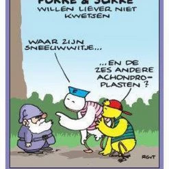 Reid Fokke & Sukke Kwartet -kaartspellen Verkoopwinkel 521x840 14