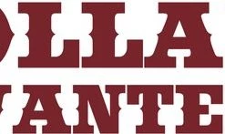 Anna Oppolzer Dollars Wanted Kaartspel - Huch! -kaartspellen Verkoopwinkel 550x147