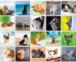 Remember - Remember Memory Spel Cats -kaartspellen Verkoopwinkel 550x201