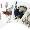 Kikkerland 3D Speelkaarten - Vogels - Kaartspel - Pokerformaat - Vogelplaatjes - Gezelschapsspel - Geschikt Voor Poker, Patience, Bridge, Blackjack, Pesten -kaartspellen Verkoopwinkel 550x286