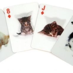 Kikkerland 3D Speelkaarten - Katten -kaartspellen Verkoopwinkel 550x288