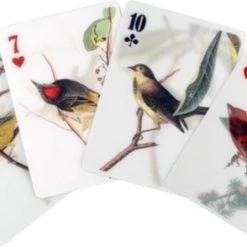Kikkerland 3D Speelkaarten - Vogels - Kaartspel - Pokerformaat - Vogelplaatjes - Gezelschapsspel - Geschikt Voor Poker, Patience, Bridge, Blackjack, Pesten -kaartspellen Verkoopwinkel 550x294
