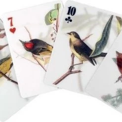Kikkerland 3D Speelkaarten - Vogels - Kaartspel - Pokerformaat - Vogelplaatjes - Gezelschapsspel - Geschikt Voor Poker, Patience, Bridge, Blackjack, Pesten -kaartspellen Verkoopwinkel 550x303