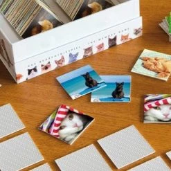 Remember - Remember Memory Spel Cats -kaartspellen Verkoopwinkel 550x309 61