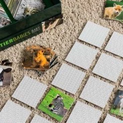 Remember Memory Spel - Baby Dieren -kaartspellen Verkoopwinkel 550x309 84