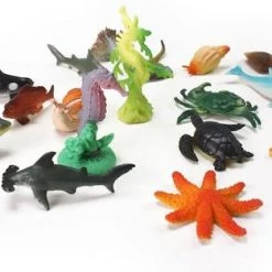 Tactic Coral Reef - Bordspel -kaartspellen Verkoopwinkel 550x313 3