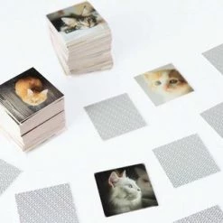 Remember - Remember Memory Spel Cats -kaartspellen Verkoopwinkel 550x316 3