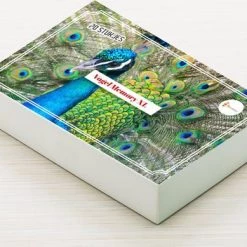 Huurdies Cadeautip! Vogel Memory - Educatief Memoryspel - Vogel Memory Spel - 70 Stuks - Schoencadeautjes Sinterklaas -kaartspellen Verkoopwinkel 550x352 3