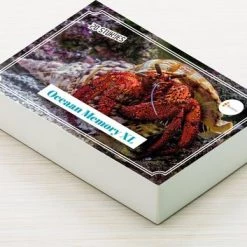 Huurdies Cadeautip! Oceaan Memory - Oceaan - Memory Spel - 70 Stuks - Schoencadeautjes Sinterklaas 8 Huurdies Cadeautip! Oceaan Memory - Oceaan - Memory Spel - 70 Stuks - Schoencadeautjes Sinterklaas -kaartspellen Verkoopwinkel 550x353