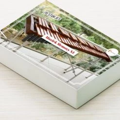 Huurdies Cadeautip! Muziek Instrumenten Memory - Muziek - Memory Spel - 70 Stuks - Schoencadeautjes Sinterklaas -kaartspellen Verkoopwinkel 550x353 8