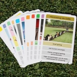 Gevoelenskwartet Gevoelens KWARTET -kaartspellen Verkoopwinkel 550x366 112