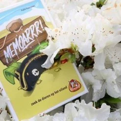 White Goblin Games Memoryspel Memoarrr! -kaartspellen Verkoopwinkel 550x366 47