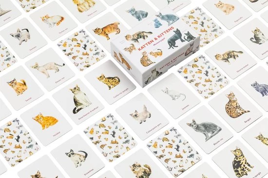 M. George Katten & Kittens 7 M. George Katten & Kittens - Afbeelding 5