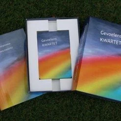 Gevoelenskwartet Gevoelens KWARTET -kaartspellen Verkoopwinkel 550x367 10