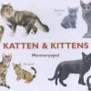 M. George Katten & Kittens -kaartspellen Verkoopwinkel 550x376 5