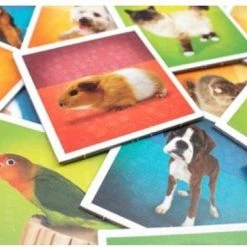 Tactic Pets Memo - Kinderspel -kaartspellen Verkoopwinkel 550x378 12