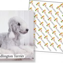 Huurdies Cadeautip! - Honden Memory - Hondenrassen - Honden Memory Spel - Educatief Memoryspel - 70 Stuks - Schoencadeautjes Sinterklaas -kaartspellen Verkoopwinkel 550x386 4