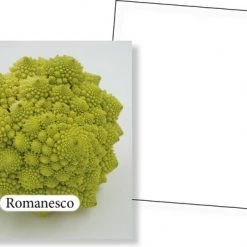 Huurdies Cadeautip! Groenten Memory - Educatief Memoryspel - Groentes Memory Spel - 70 Stuks - Schoencadeautjes Sinterklaas -kaartspellen Verkoopwinkel 550x386 5