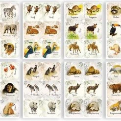 Rien Poortvliet - Dieren - Memo Spel -kaartspellen Verkoopwinkel 550x397 9