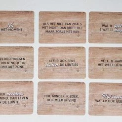 Nienke Van Der Haak - Kraeima Coachkaarten | Coachingskaarten -kaartspellen Verkoopwinkel 550x401