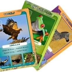 Identity Games Spellenbundel - Kwartet - 3 Stuks - Wildlife Kwartet & Sealife Kwartet & Huisdieren Kwartet -kaartspellen Verkoopwinkel 550x421 3