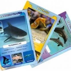 Identity Games Spellenbundel - Kwartet - 3 Stuks - Sealife Kwartet & Paarden Kwartet & Kikker Junior Kwartet -kaartspellen Verkoopwinkel 550x422 4