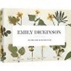 Princeton Architectural Press Emily Dickinson Notecards