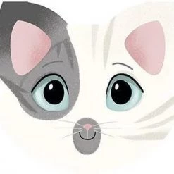 Avenue Mandarine Memory Cats & Expressions -kaartspellen Verkoopwinkel 550x511 7