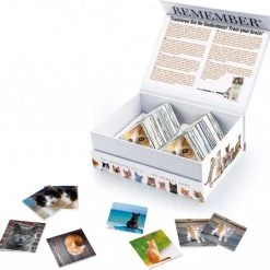 Remember - Remember Memory Spel Cats -kaartspellen Verkoopwinkel 550x538 5