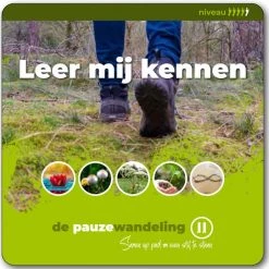 De Pauzewandeling Thema Leer Mij Kennen - Coaching - Wandelcoaching - Kaartspel Voor Buiten - Coachkaarten - Gesprekskaarten - Team - Cadeau - Training - Intervisie - Teambuilding - Kerstpakket - Kerstcadeau - Origineel - Vitaliteit