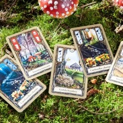 Pegasus Spiele Gmbh Fungi - Kaartspel -kaartspellen Verkoopwinkel 550x550 74