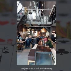 Rens Bousardt ReBo's Bridgeboek -kaartspellen Verkoopwinkel 550x797 6