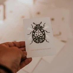 THE SPIRIT JUNKIES Spirit Animal Cards 17 THE SPIRIT JUNKIES Spirit Animal Cards -kaartspellen Verkoopwinkel 550x823 5