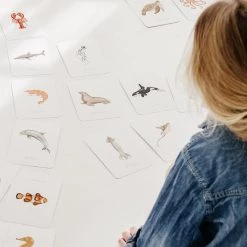 Dierenkaarten | Oceaandieren | Zeedieren | Flashcards Voor Kinderen | 20 Stuks | Teejays -kaartspellen Verkoopwinkel 550x825 17